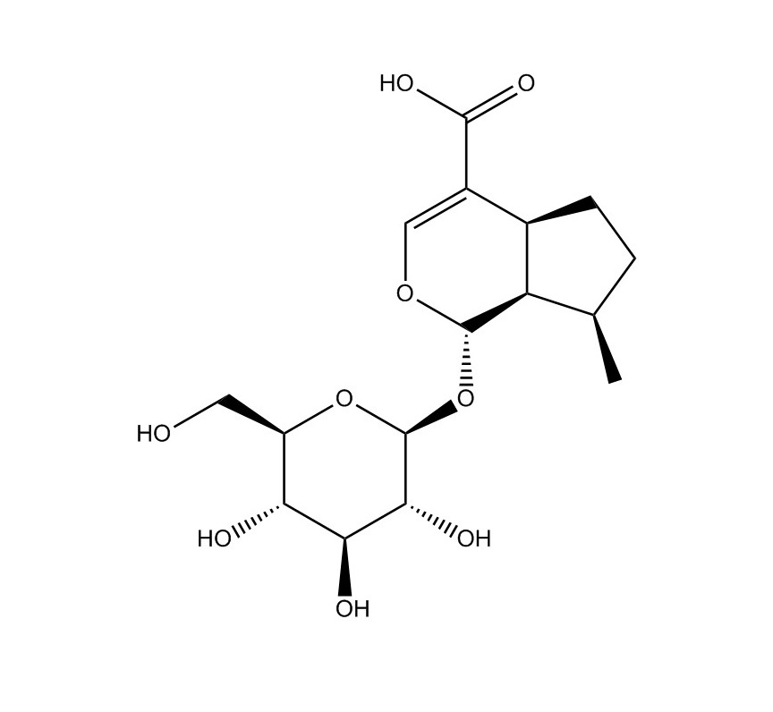 8-表-脫氧馬錢酸|88668-99-9
