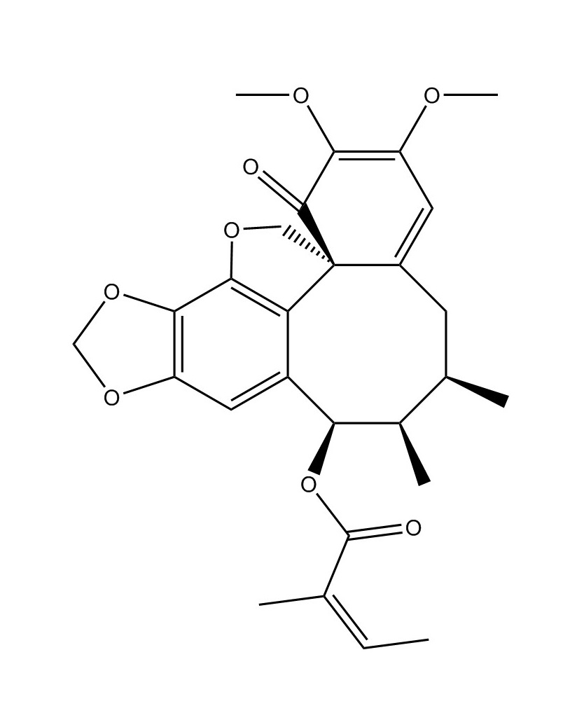異南五味子丁素|140369-76-2